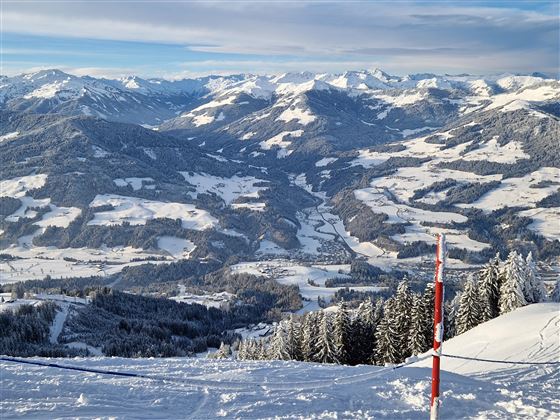 Hohe Salve mit Blick auf Hopfgarten, Bergrose