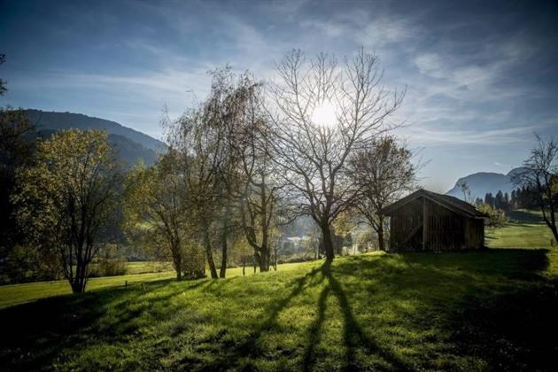 Horngach Garten