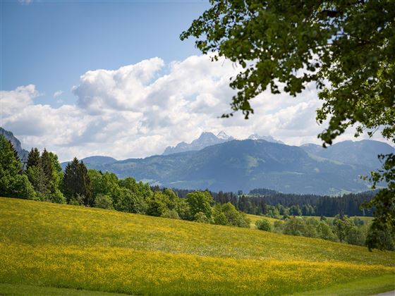 Hotel_Seiwald_Kaiserweg_49_Going_Ausblick