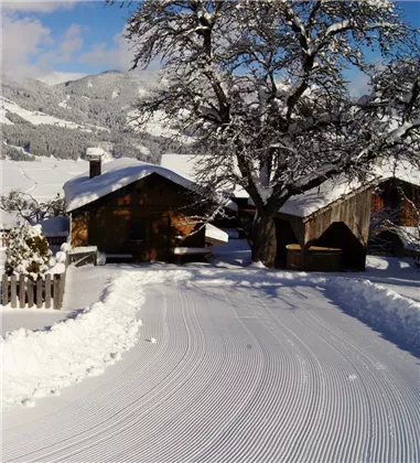 Hütte von hinten 2