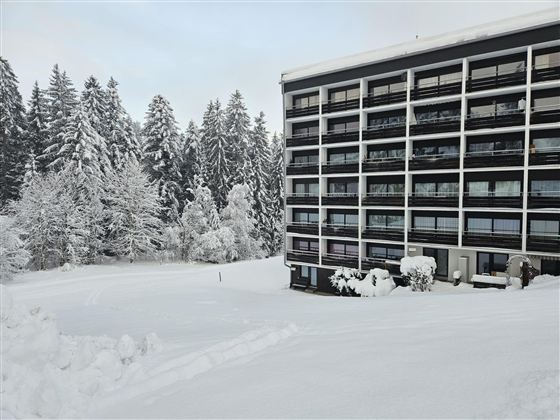 Een modern gebouw in een besneeuwd landschap. Hoge bomen en verse sneeuw omringen de architectuur.