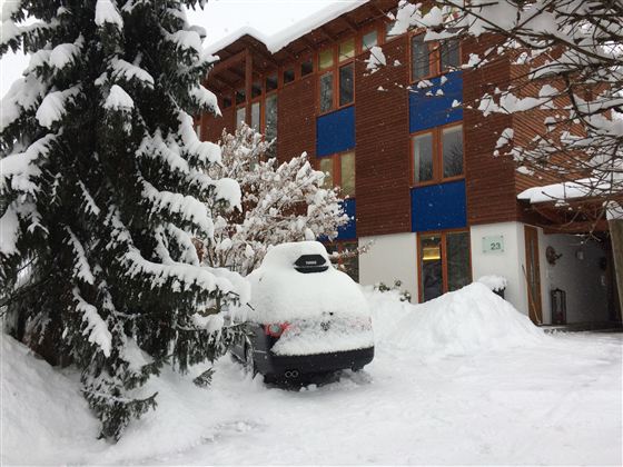 Ein verschneites Gebäude mit blauen Fenstern und einem versteckten Auto unter Schnee. Hohe, schneebedeckte Bäume umgeben die Szene.