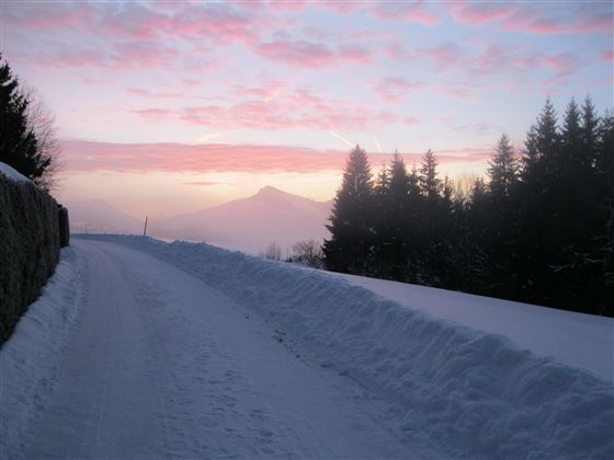 Eine verschneite Straße führt durch eine winterliche Landschaft. Im Hintergrund sind Bäume und ein sanfter Hügel bei Sonnenaufgang zu sehen.
