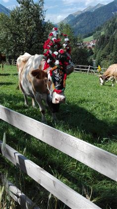 IMG_20160903_123643