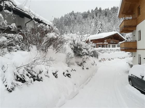 Eine verschneite Straße zwischen Häusern, umgeben von schneebedeckten Büschen. Die winterliche Landschaft ist friedlich und ruhig.