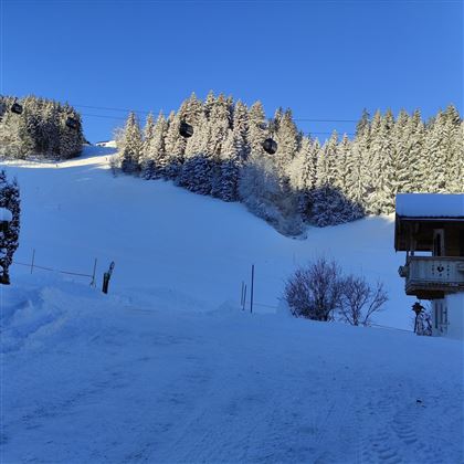 A snow-covered landscape with a ski slope and dense, snow-covered trees. The sky is clear and blue, showcasing a beautiful winter day.
