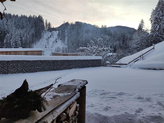 A snowy landscape with tall fir trees and mountains in the background. The atmosphere is calm and peaceful under a clear sky.