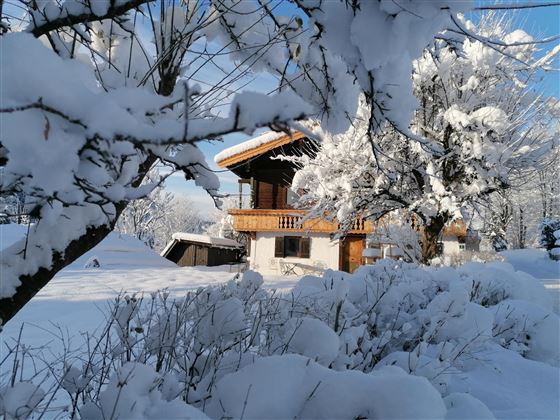 A charming wooden house in winter, surrounded by snow-covered trees. The landscape is tranquil and idyllic with fresh, white snow.