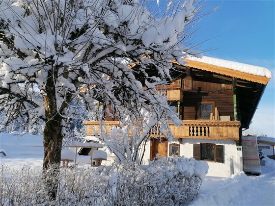 A cozy wooden house in the snow with a snow-covered tree in the foreground. The sky is clear and blue.