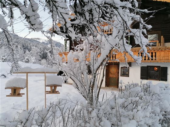 A snow-covered house surrounded by frosty trees and bushes. In the foreground, there are bird feeders.