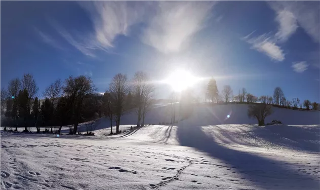 Winter Panorama