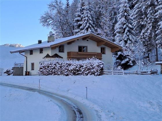 A cozy house in the snow, surrounded by tall, snow-covered fir trees. The path gently leads to the front door.