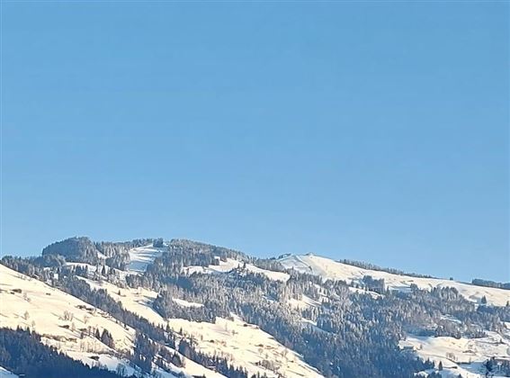 IMG-20230207-WA0007