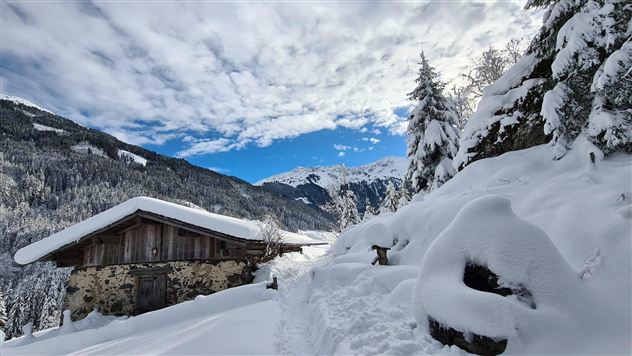 A snowy landscape with a wooden cabin and snow-covered trees. The sky is partly cloudy and shows a clear blue color.