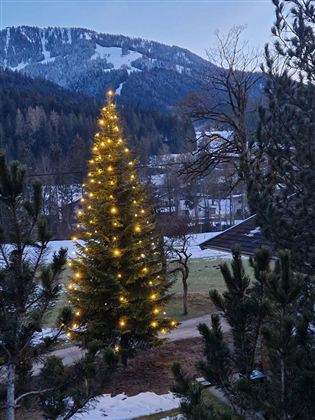 Ein schöner, beleuchteter Weihnachtsbaum steht in einer winterlichen Landschaft. Im Hintergrund sind schneebedeckte Berge und Tannen zu sehen.