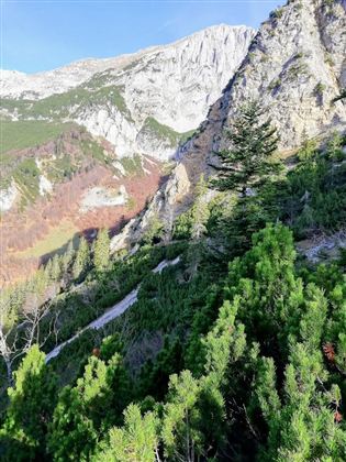 Eine beeindruckende Berglandschaft mit steilen Felsen und grünen Nadelbäumen. Im Hintergrund sind schneebedeckte Gipfel zu sehen.