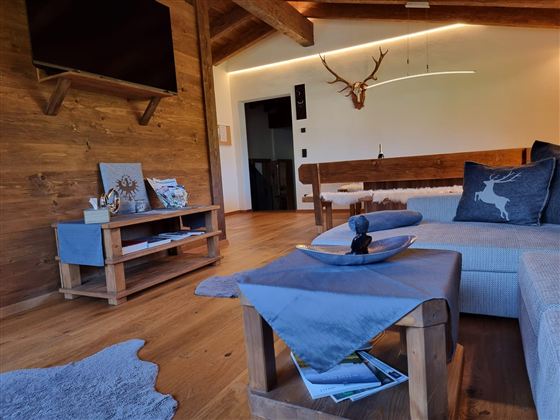 A cozy living room with wood paneling and a modern sofa. On the table lies a decorative platter, and the walls are adorned with deer antlers.