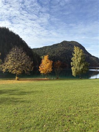 Een rustige vijver omringd door kleurrijke bomen in de herfst. De bergen op de achtergrond complementeren het schilderachtige landschap.