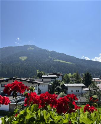IMG_4522