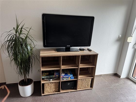 Ein Wohnzimmermöbel mit einem Fernseher auf einem Regal. Daneben steht eine Pflanze in einem Topf.