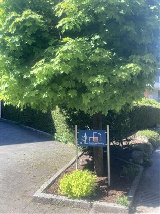 Ein Parkplatzschild für Menschen mit Behinderungen steht unter einem großen Baum. Die Umgebung besteht aus grünen Sträuchern und einem gepflasterten Weg.