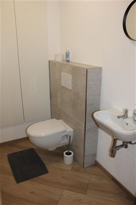 A modern bathroom with a toilet and a small sink. The floor is laid with wood-look tiles and the walls are light.