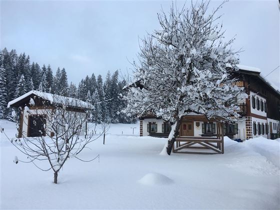 A snow-covered landscape image with a traditional wooden house and a snow-covered tree. In the background, dense, snow-covered forests are visible.