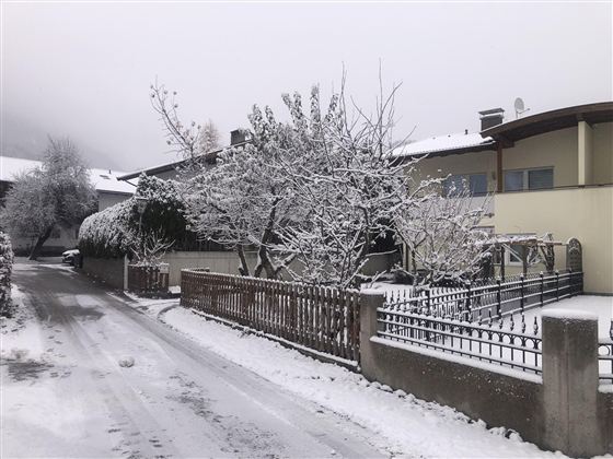 Eine winterliche Landschaft mit schneebedeckten Bäumen und einer ruhigen Straße. Die Gebäude im Hintergrund sind leicht verziert und vom Schnee umgeben.