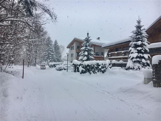 Eine schneebedeckte Straße mit Häusern und hohen, verschneiten Bäumen. Der Himmel ist grau und es schneit leicht.