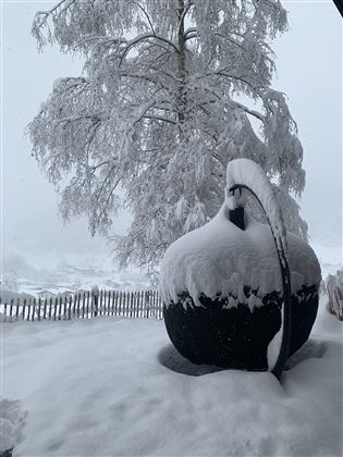 Sitzkugel North02/ Garten