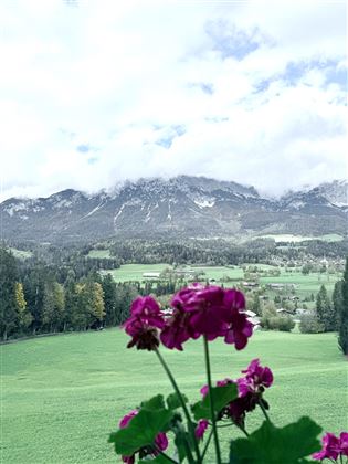 Ausblick auf den Scheffauer