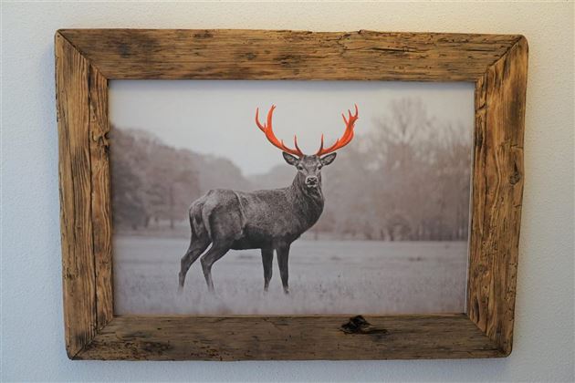 Een hert met felrode geweiën staat in een grijze landschap. De lijst is gemaakt van rustiek hout.