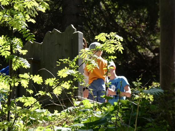 Zwei Kinder stehen in einem Waldgebiet hinter einem Holzzaun. Umgeben von grünen Pflanzen genießen sie die Natur.