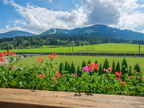 Innenbilder Apartments 4 zu 3 60� (11 von 24)