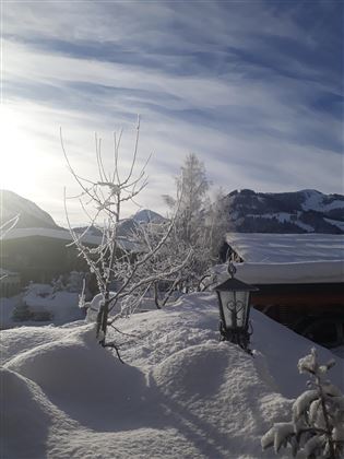 Jänner 2019 (2)