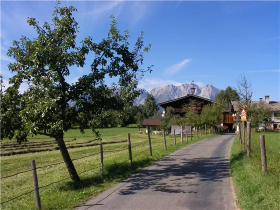 jpg.wanderweg-sommer
