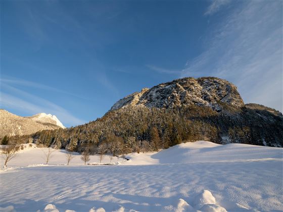 Kafma_Hof_Eiberg_14_Soell_Ausblick