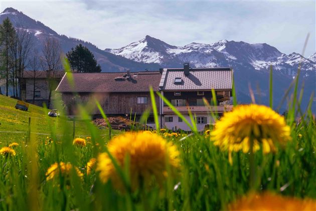 Kainrathenhof Sommer