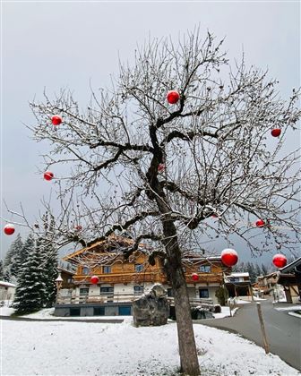 Ein kahler Baum steht im Schnee und ist mit roten Weihnachtsbaumkugeln dekoriert. Im Hintergrund sind vier Häuser und eine Winterlandschaft zu sehen.
