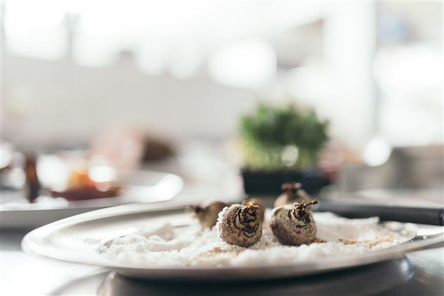 Een elegant gerecht met slakken op een bed van zout. Op de achtergrond zijn vage keukengerei te zien.