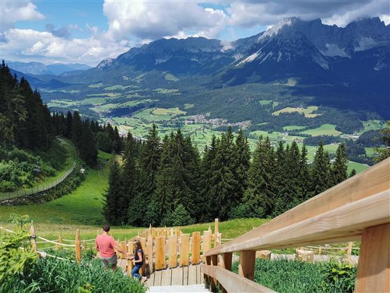 Eine malerische Berglandschaft mit grünen Wiesen und dichten Wäldern. Im Vordergrund sind Wanderer auf einem Holzweg zu sehen.