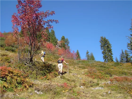 KAM_000740_Herbstwandern_Archiv-Kitzbueheler-Alpen