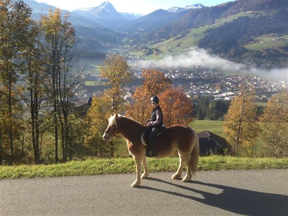 Kinder mit Pferd