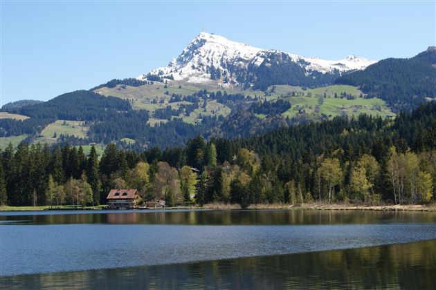 Ein schöner Berg mit schneebedecktem Gipfel steht über einem ruhigen See. Umgeben von grünen Hügeln und Wäldern.