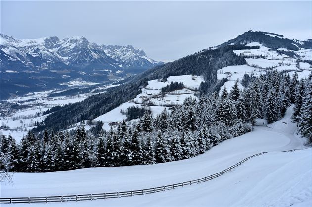 Een besneeuwd landschap met bergen op de achtergrond. Dikke dennenbomen en zachte heuvels bepalen het beeld.