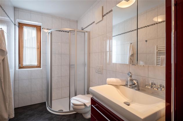 Een moderne badkamer met een douchecabine, wastafel en een wc. Heldere tegels en grote ramen zorgen voor een vriendelijke sfeer.