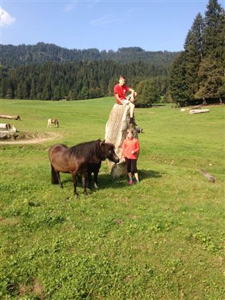 Koppel vor dem WEBERHOF