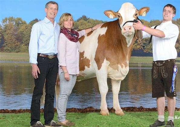 A couple stands next to a cow in front of a picturesque backdrop with water and trees. The people seem proud and satisfied with the animal.