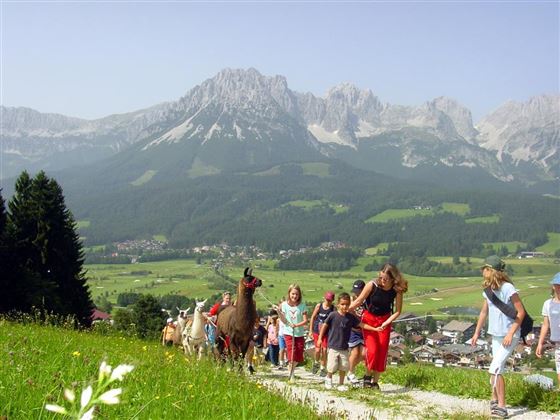 A group of people is hiking on a path through the mountains. In the foreground, llamas and children can be seen, while the impressive mountain landscape shines in the background.