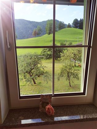 Landidyll am Thiersee - Ausblick